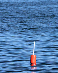 Red floating on water