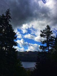 Silhouette trees by lake against sky