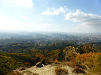 High angle view of trees on landscape against sky