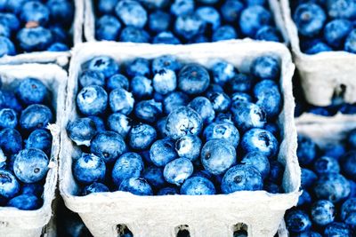 Close-up of fruits in blue water