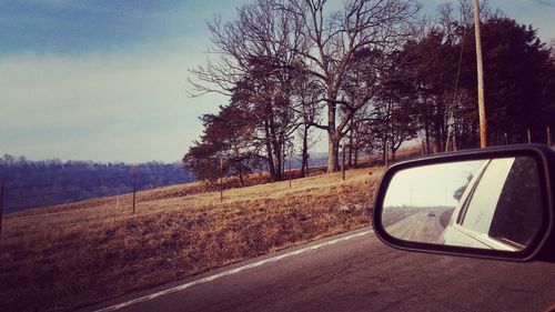 Reflection of bare trees on side-view mirror