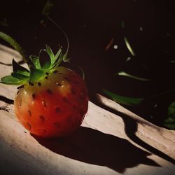 Close-up of shadows on wall
