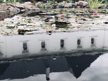 Reflection of building in puddle