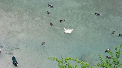 People in water