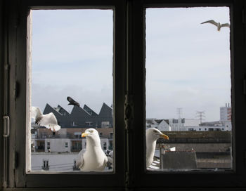 View of city against sky seen through window
