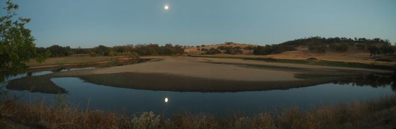 Reflection of trees in water