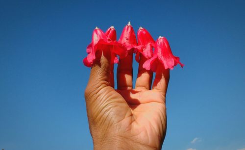 Close-up of hand holding red rose against sky