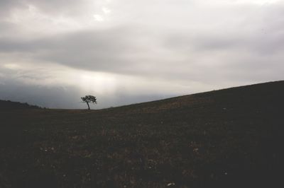 sky