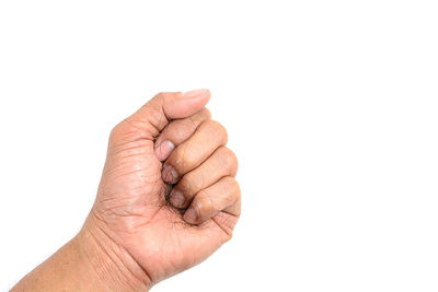 Close-up of hand holding leaf against white background