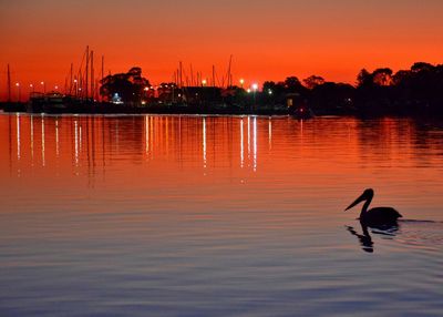 Scenic view of lake at sunset with silhouette bird