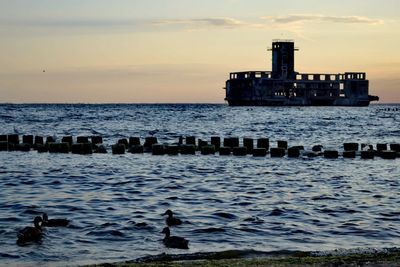Ducks on sea shore against sky during sunset