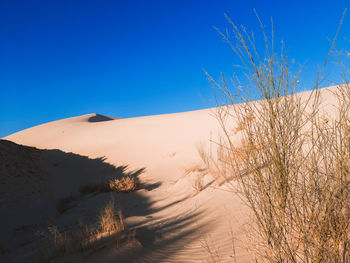 Sahara desert with blue sky 