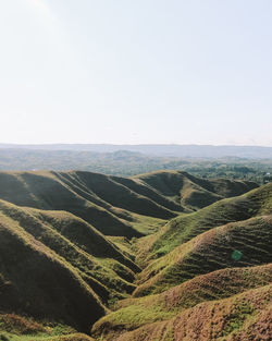 Scenic view of landscape against clear sky