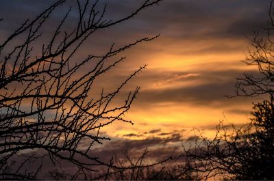 Low angle view of silhouette bare tree against dramatic sky