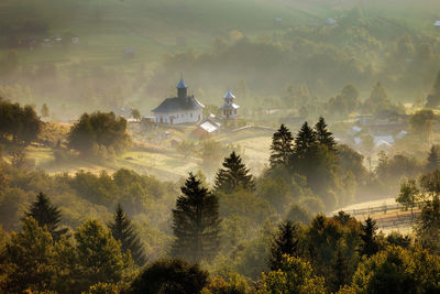 Houses amidst trees during foggy weather