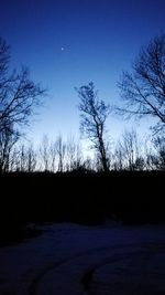 Silhouette trees on field against blue sky