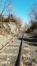 View of railway tracks along bare trees