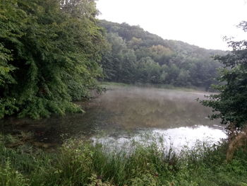 Scenic view of river amidst trees in forest against sky