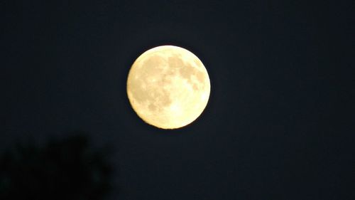 Low angle view of moon in sky