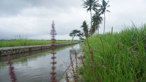 Scenic view of land against sky