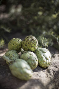 Close-up of fruits on wood