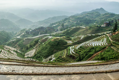 Scenic view of agricultural landscape