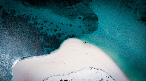 High angle view of swimming underwater