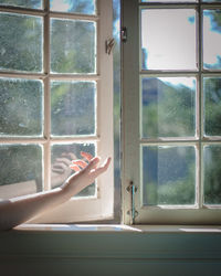 Low section of woman looking through window