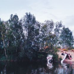 Tourists on tree