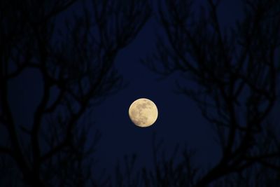 Low angle view of moon seen through silhouette trees