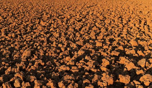 Full frame shot of soil in desert
