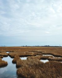Scenic view of saltwater marsh against sky