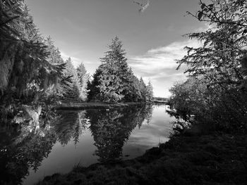 Grass creek in beautiful grays harbor washington 