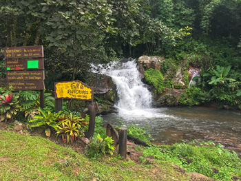 Scenic view of waterfall in forest