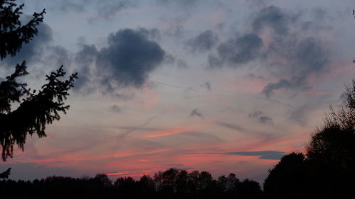 Silhouette of trees against cloudy sky