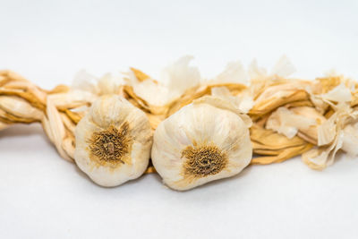 Close-up of garlic on white background