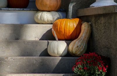 Close-up of pumpkin pumpkins