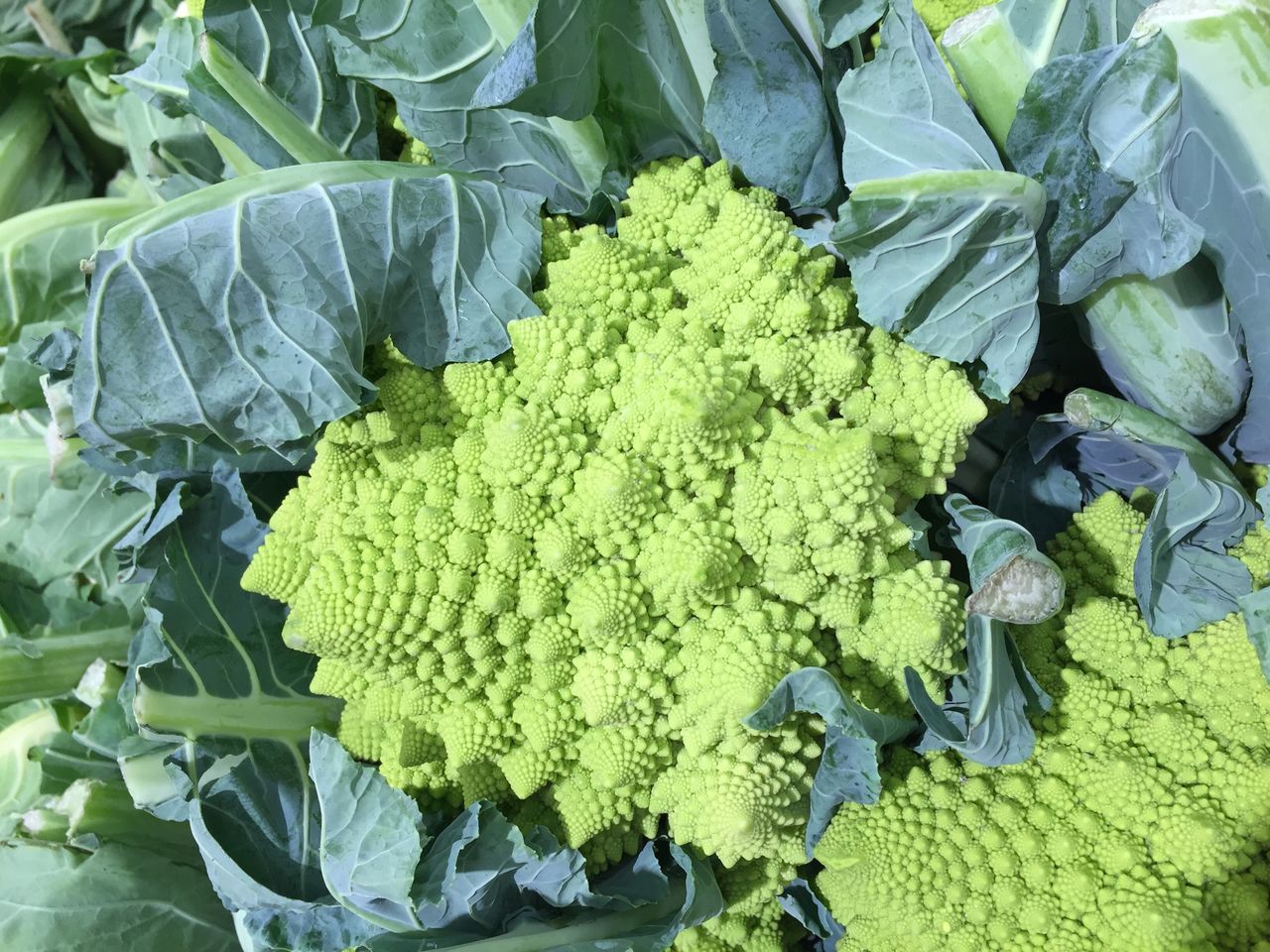 Chouxromanesco