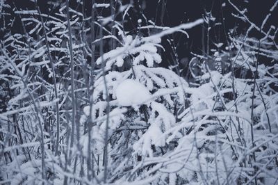 Snow on field during winter