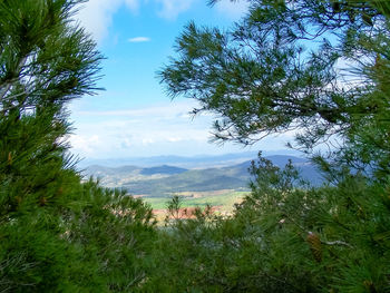 Scenic view of green landscape against sky