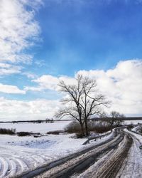 Bare trees on snow covered field against sky