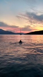 Silhouette sailboat in sea against sky during sunset
