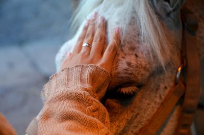 Women touching horse head