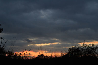 Silhouette plants on field against dramatic sky during sunset