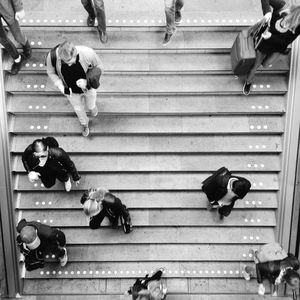 High angle view of dogs on staircase