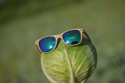 Close-up of sunglasses on green plant