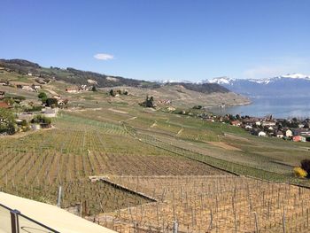 Scenic view of vineyard against sky