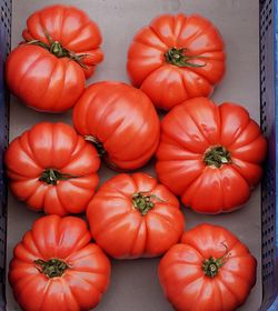 Full frame shot of tomatoes