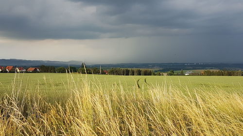 Scenic view of field against sky