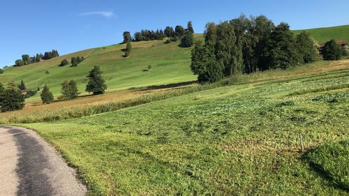 Scenic view of land against sky